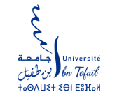 Université Ibn Tofaïl