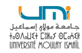 Université Moulay Ismaïl
