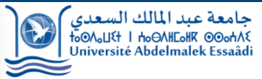 Université Abdelmalek Essaâdi
