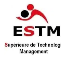 École Supérieure de Technologie et de Management (ESTM)