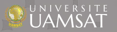 Université Africaine de Management, des Sciences Appliquées et de Télécommunications (UAMSAT)